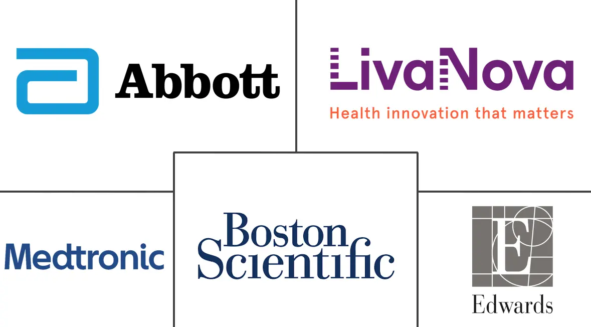 人工心脏瓣膜市场规模和份额