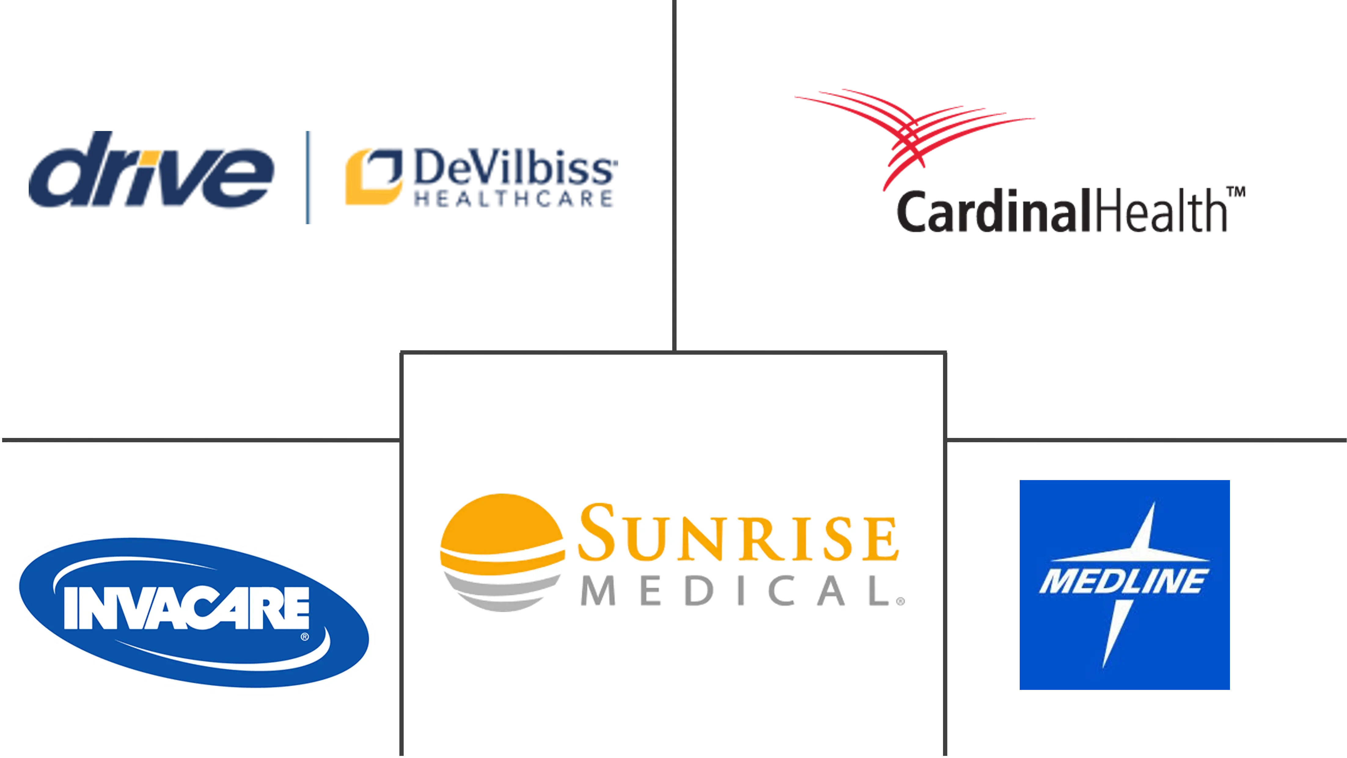 全球手杖和拐杖市场规模和份额