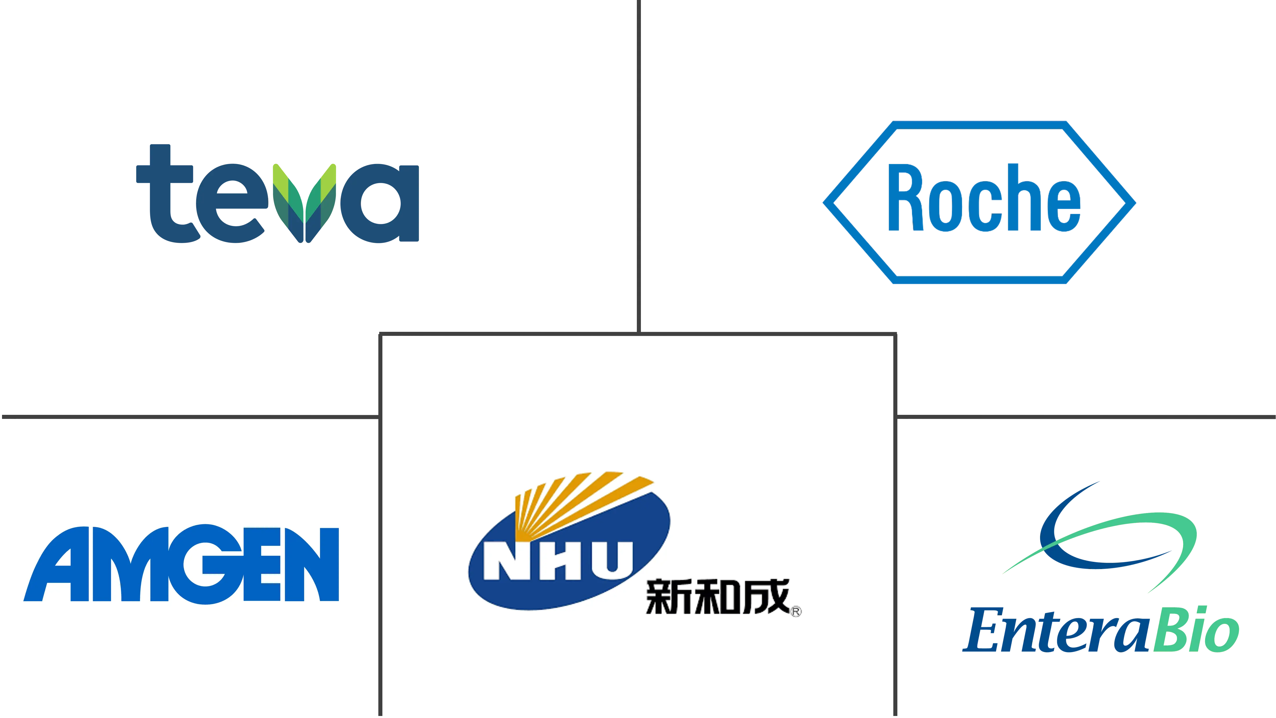 甲状旁腺功能减退症治疗市场规模