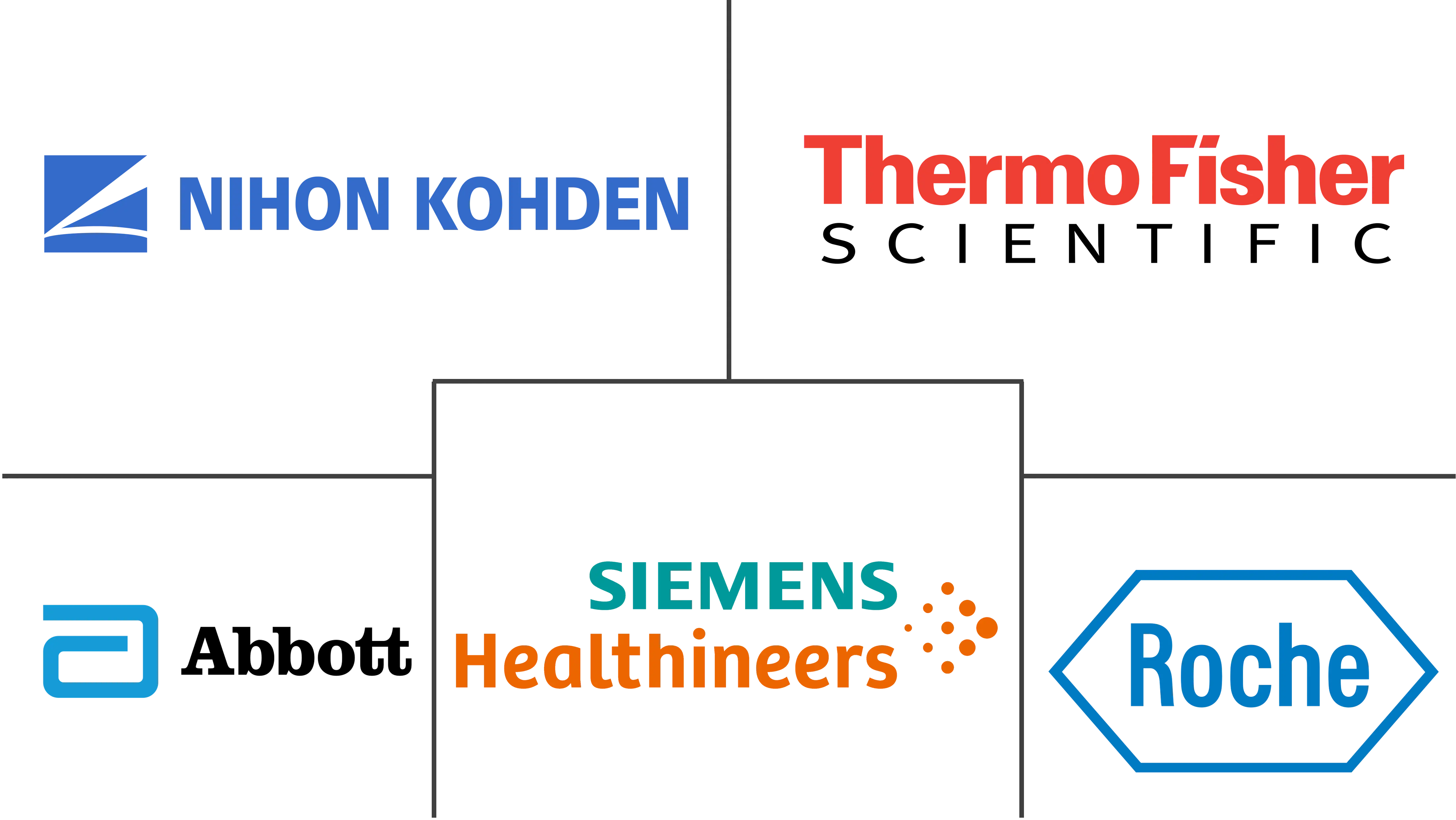 非洲分子诊断市场规模
