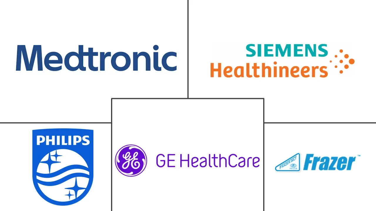 移动中风治疗仪市场规模和份额
