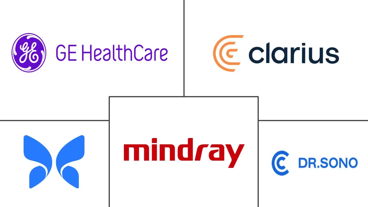 手持式超声设备市场规模