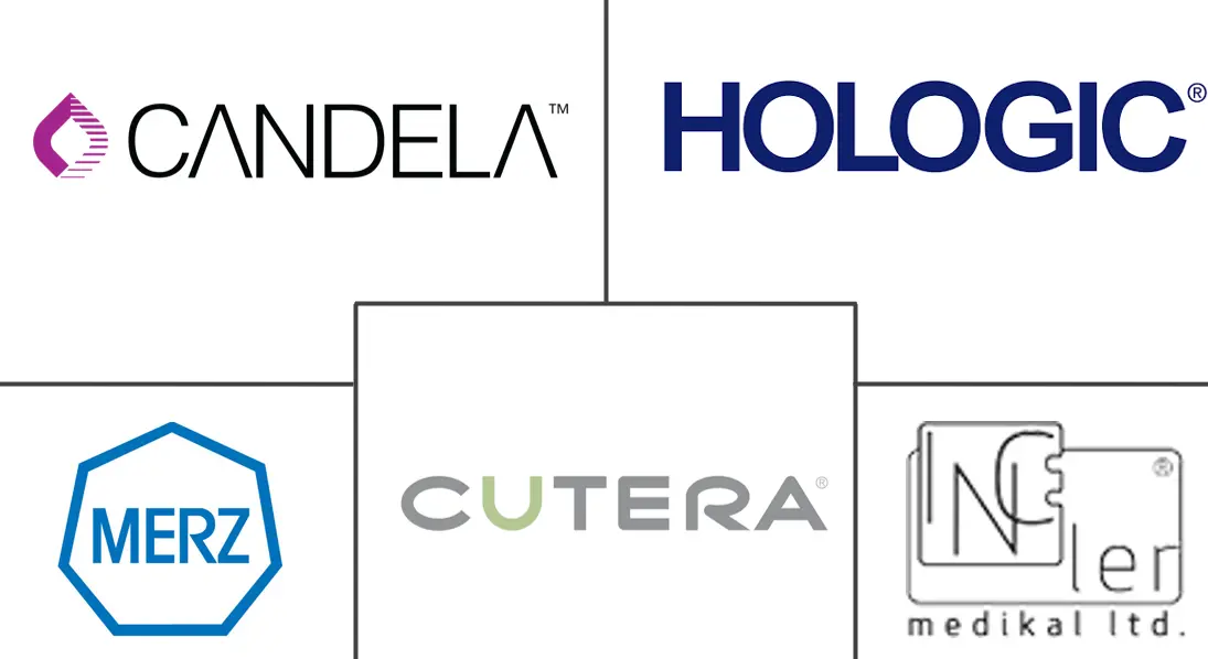 脂肪团治疗市场规模和份额