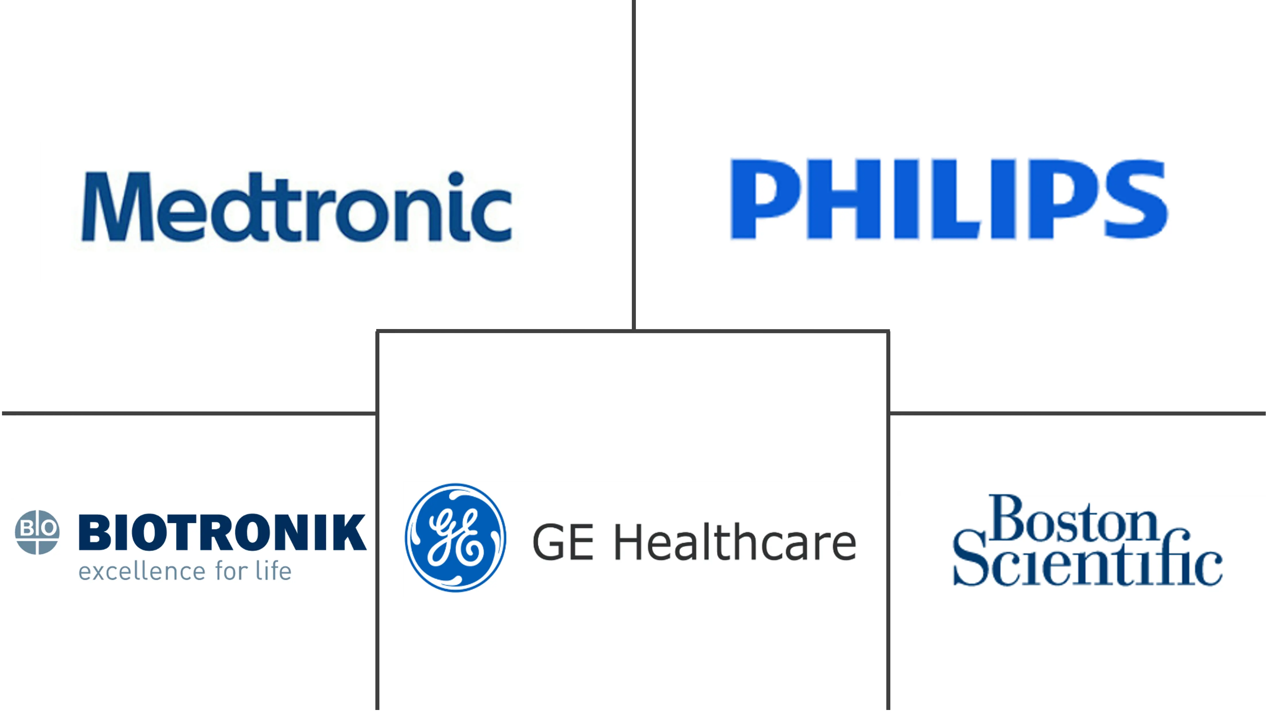 南美洲心脏监护市场规模