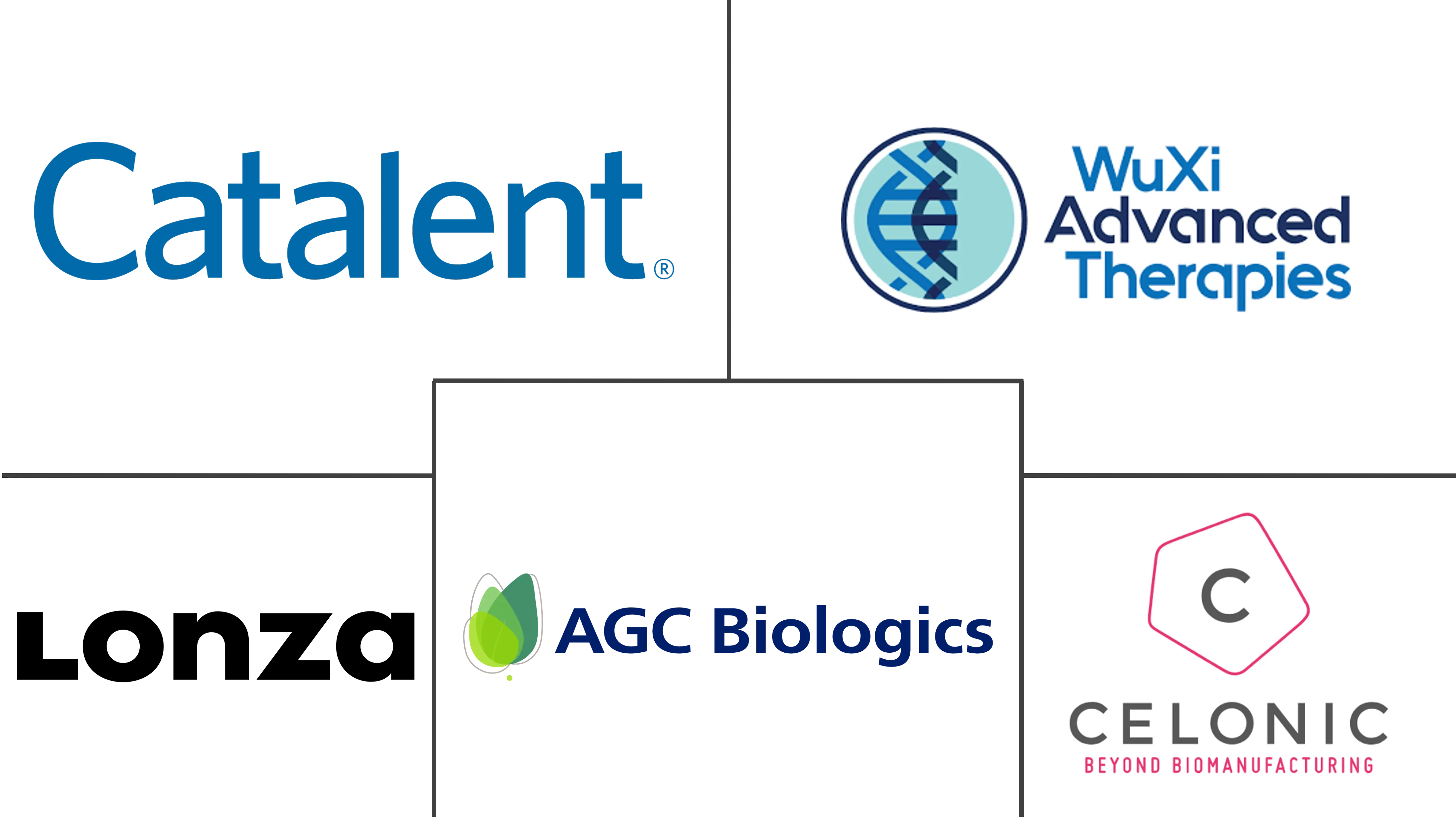 先进治疗药品 CDMO 市场规模和份额分析