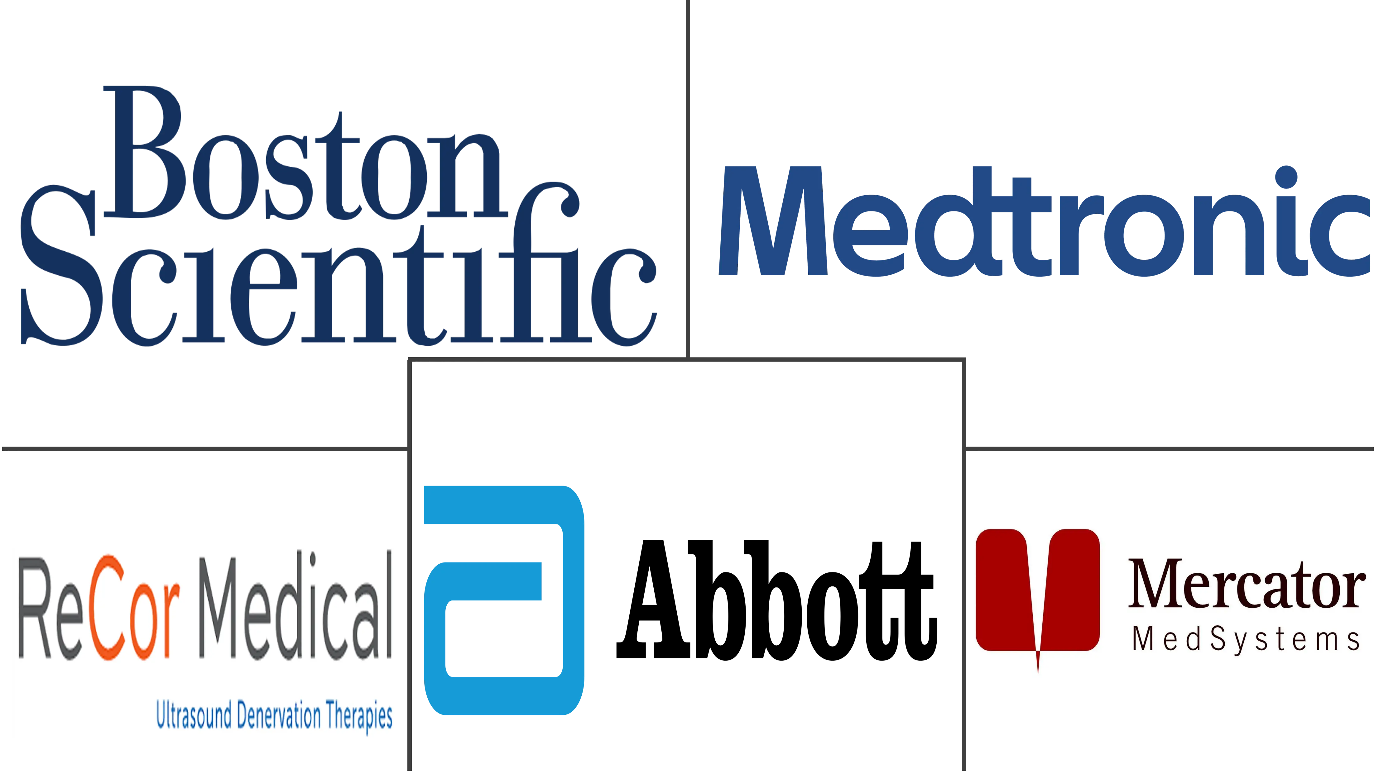 欧洲去肾神经设备市场规模