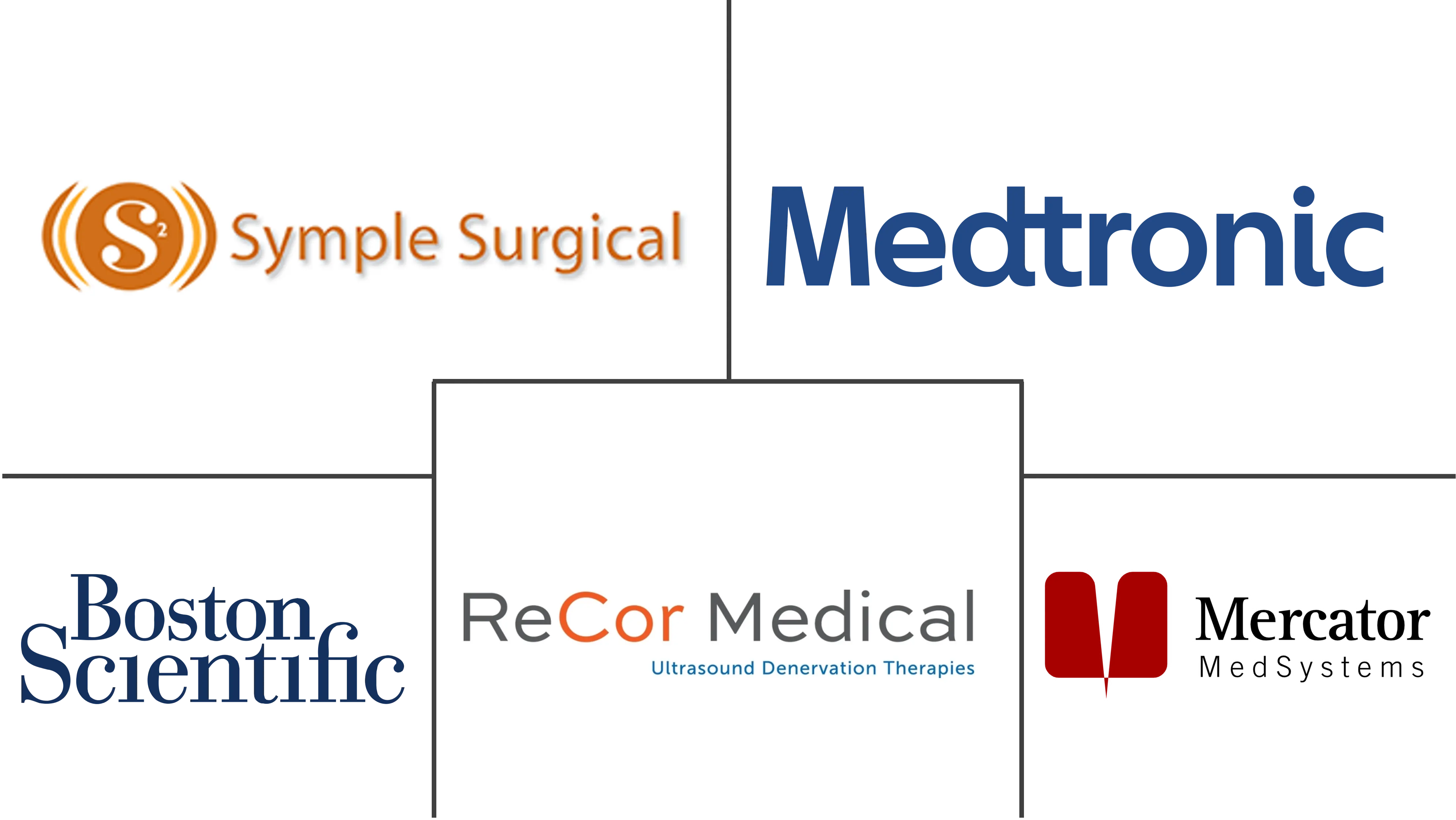 去肾神经装置市场规模