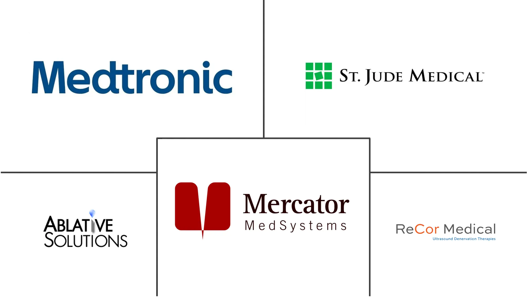 北美去肾神经设备市场规模和份额分析