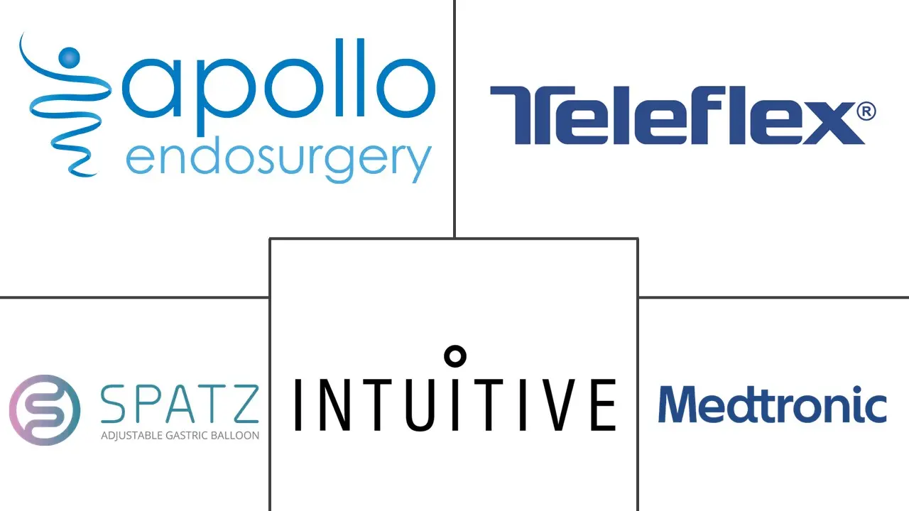 西班牙减肥手术市场规模