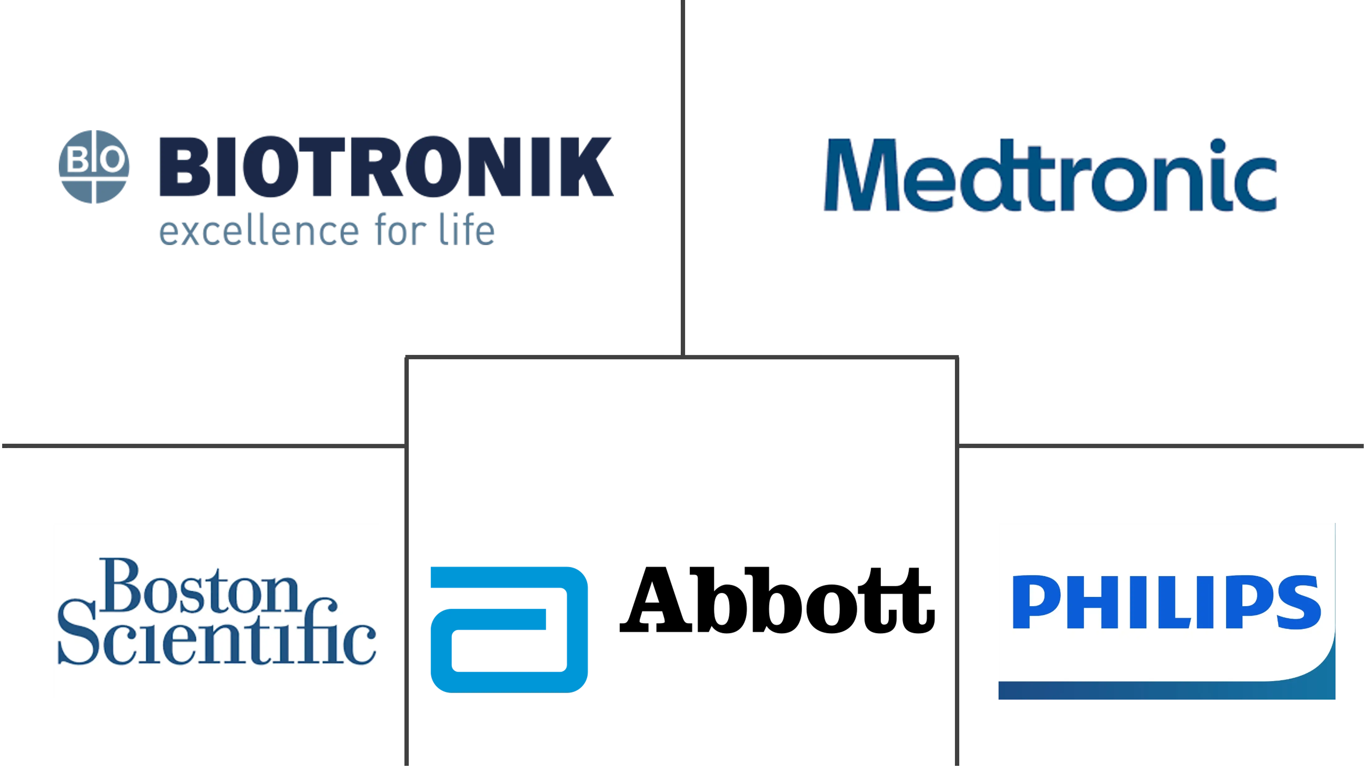 电子药品/生物电医药市场规模及份额