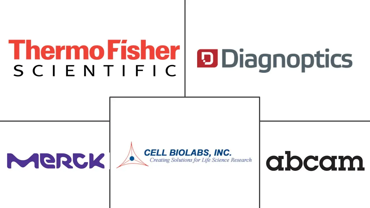 高级糖基化最终产品市场规模和份额