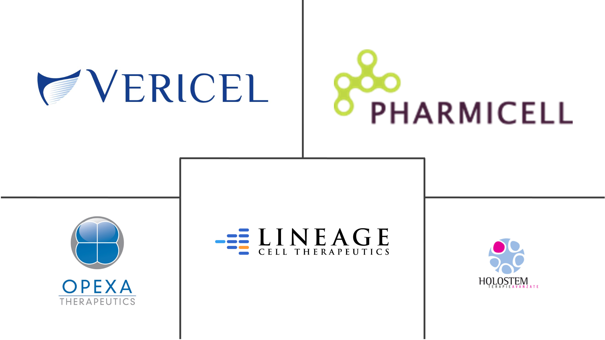 全球自体细胞治疗市场规模及份额