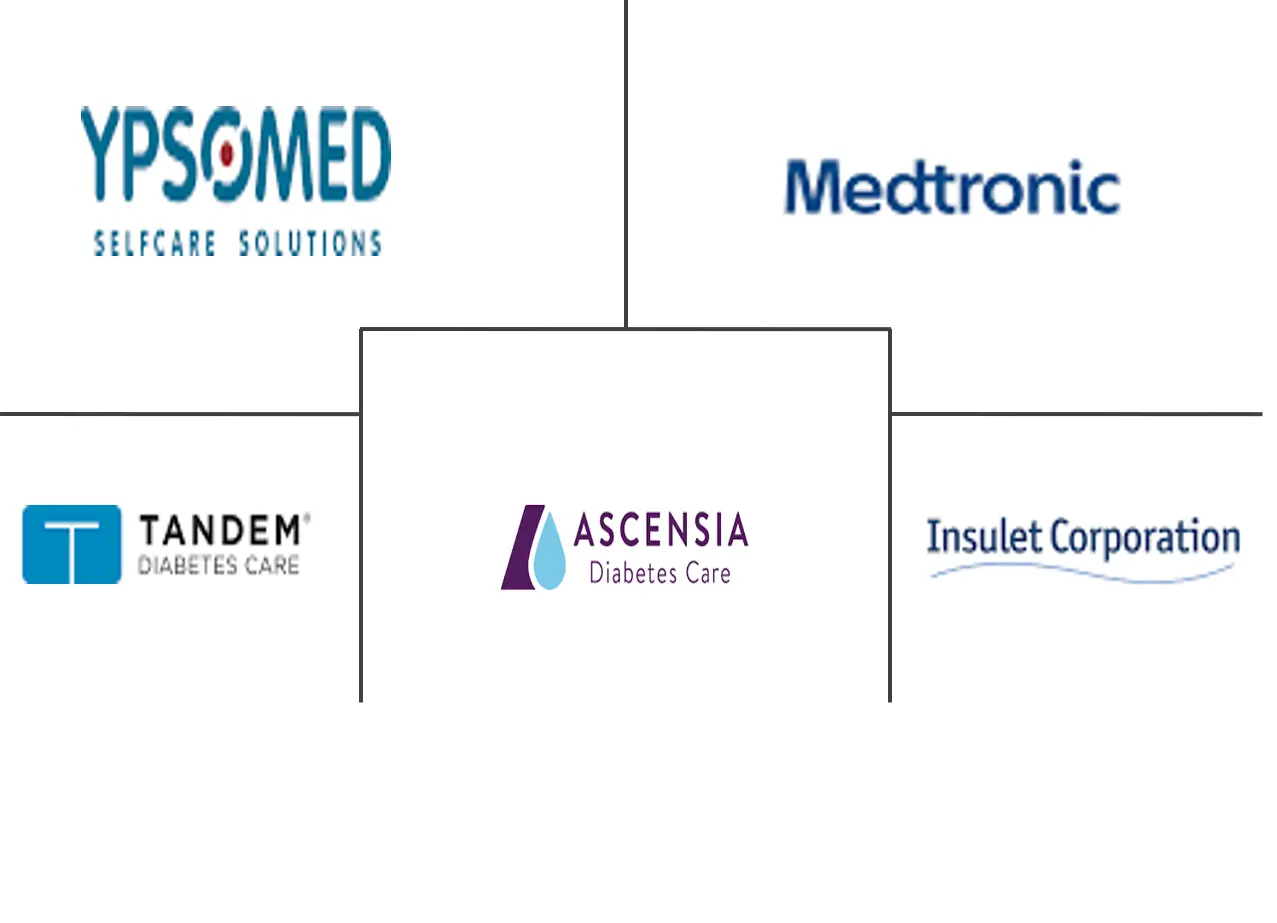 印度胰岛素输液泵市场规模