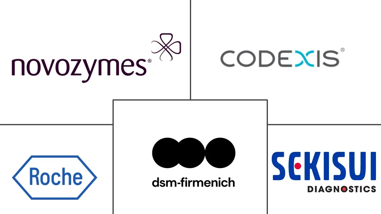 医用酶技术市场规模及份额