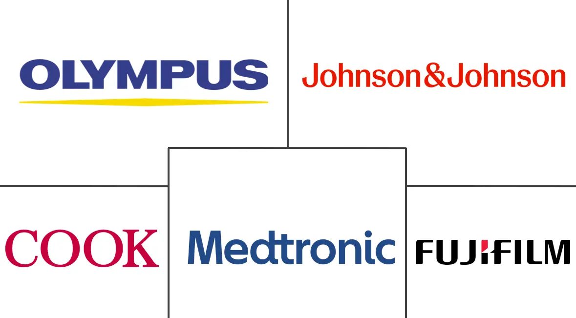 荷兰内窥镜设备市场规模和份额分析