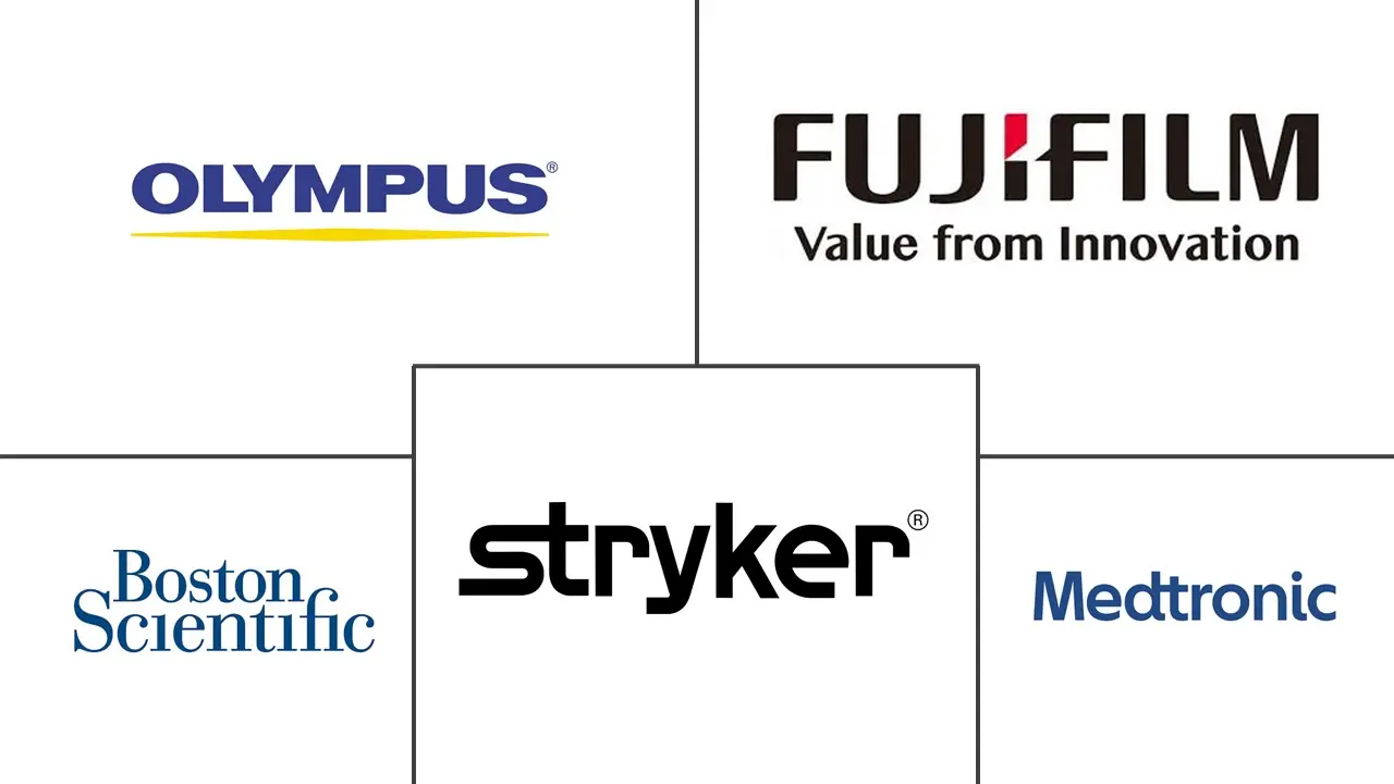 印度内窥镜设备市场规模和份额