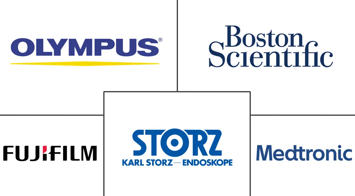 意大利内窥镜设备市场规模和份额