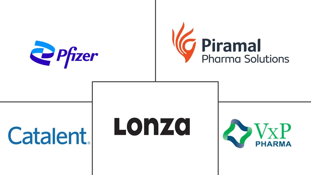 高效 API 合同制造市场规模