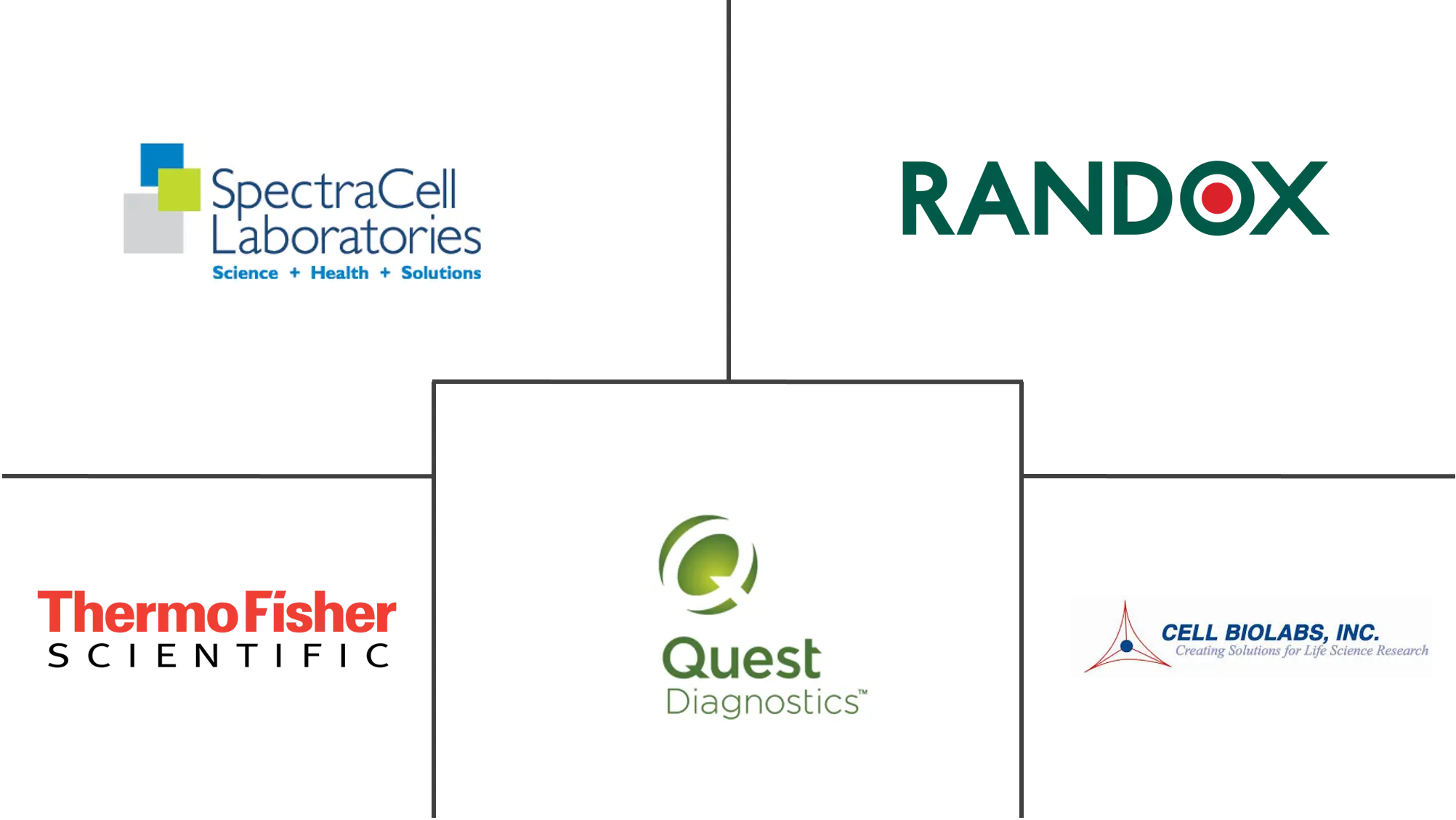 胆固醇测试产品和服务市场规模
