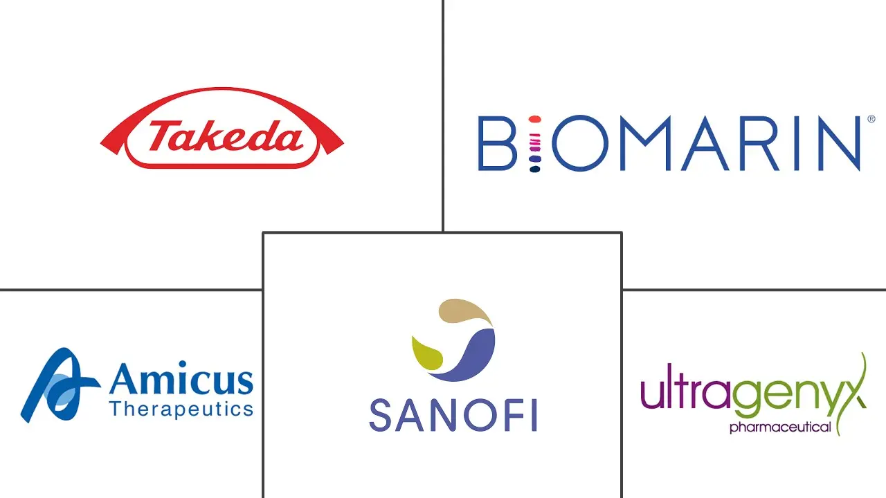 酶替代疗法市场规模和份额