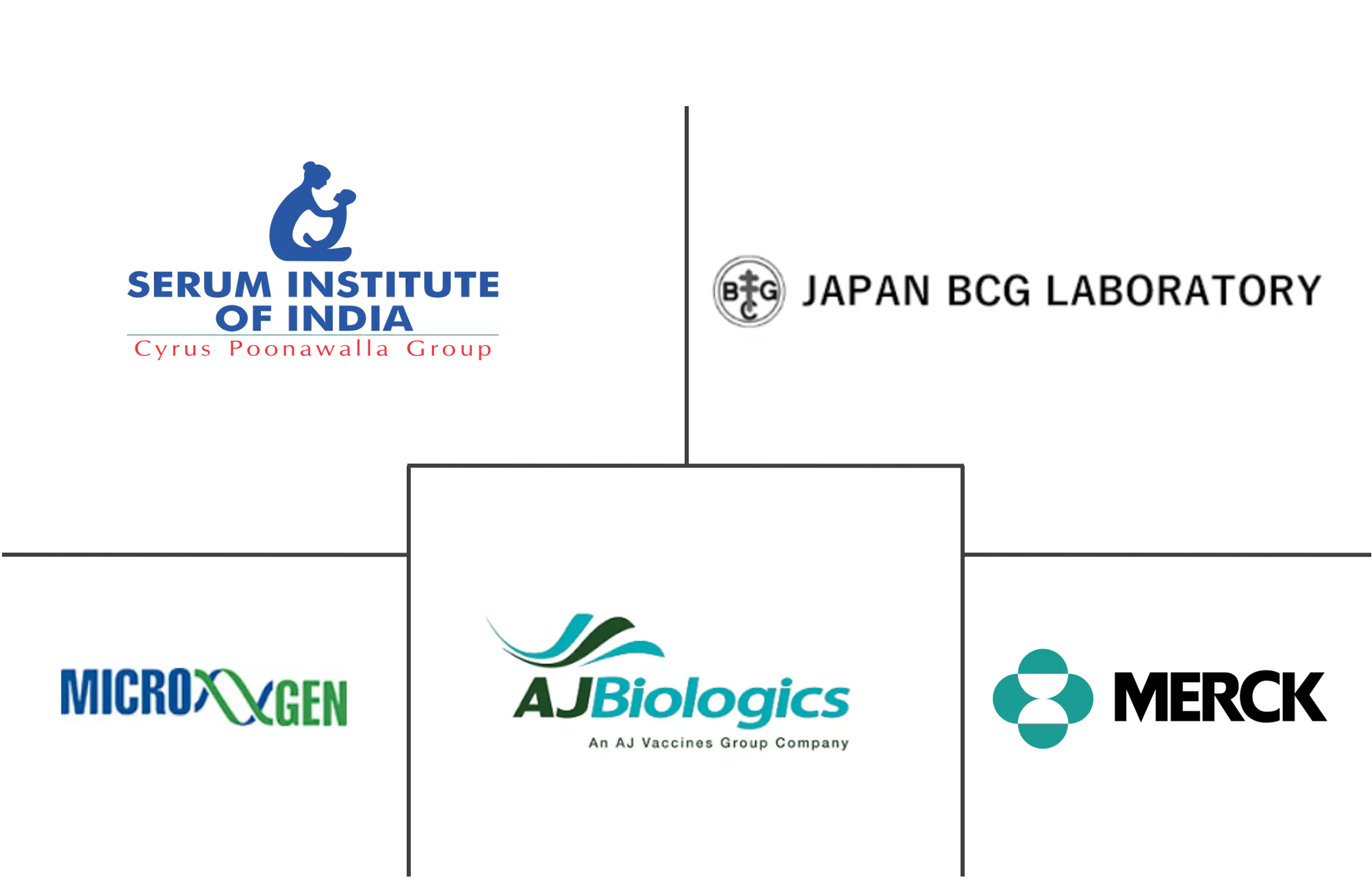 卡介苗疫苗市场规模及份额