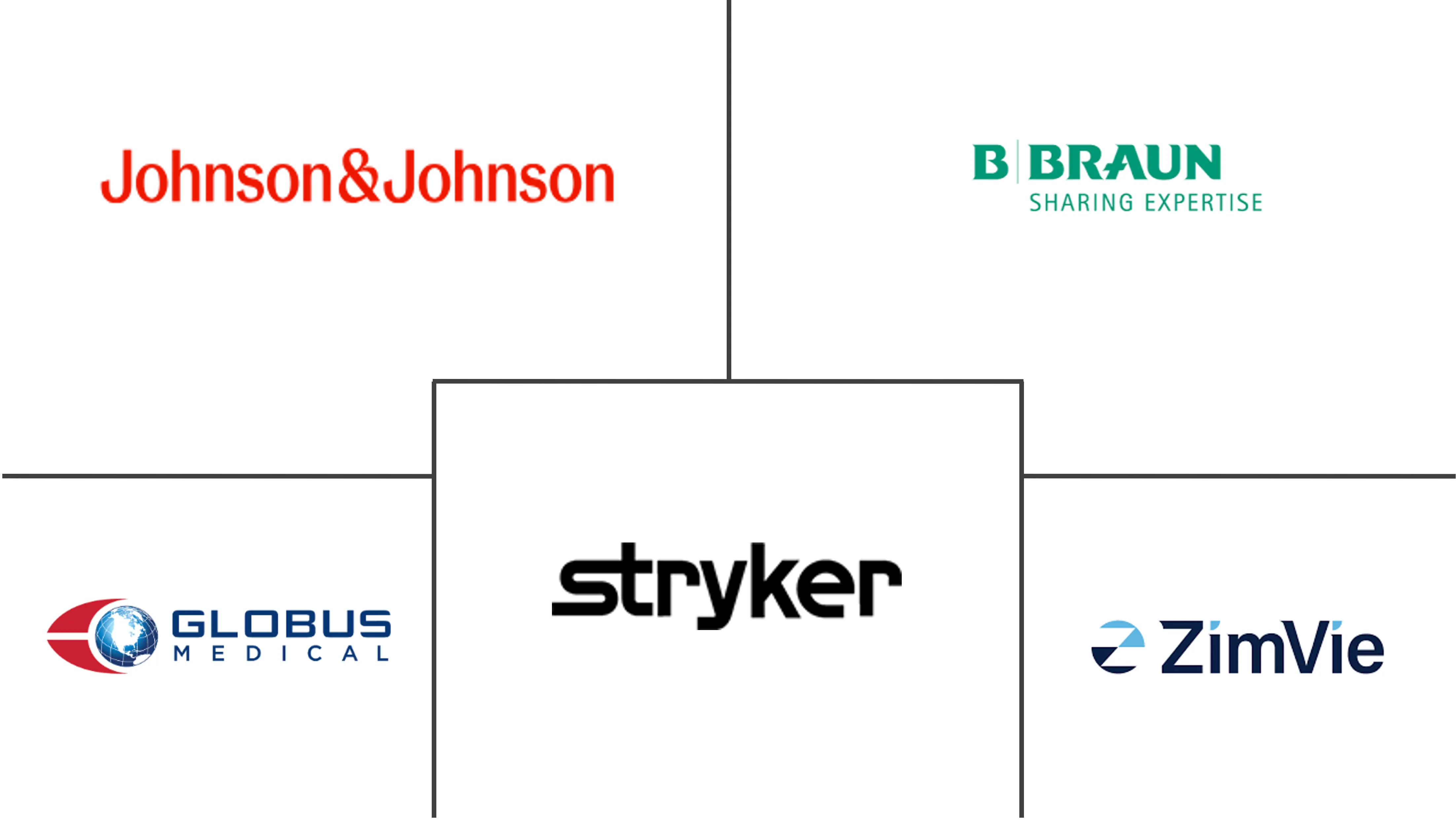 成人脊柱畸形市场规模和份额