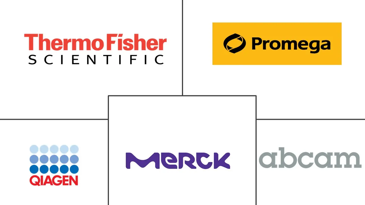 氧化应激测定市场规模和份额