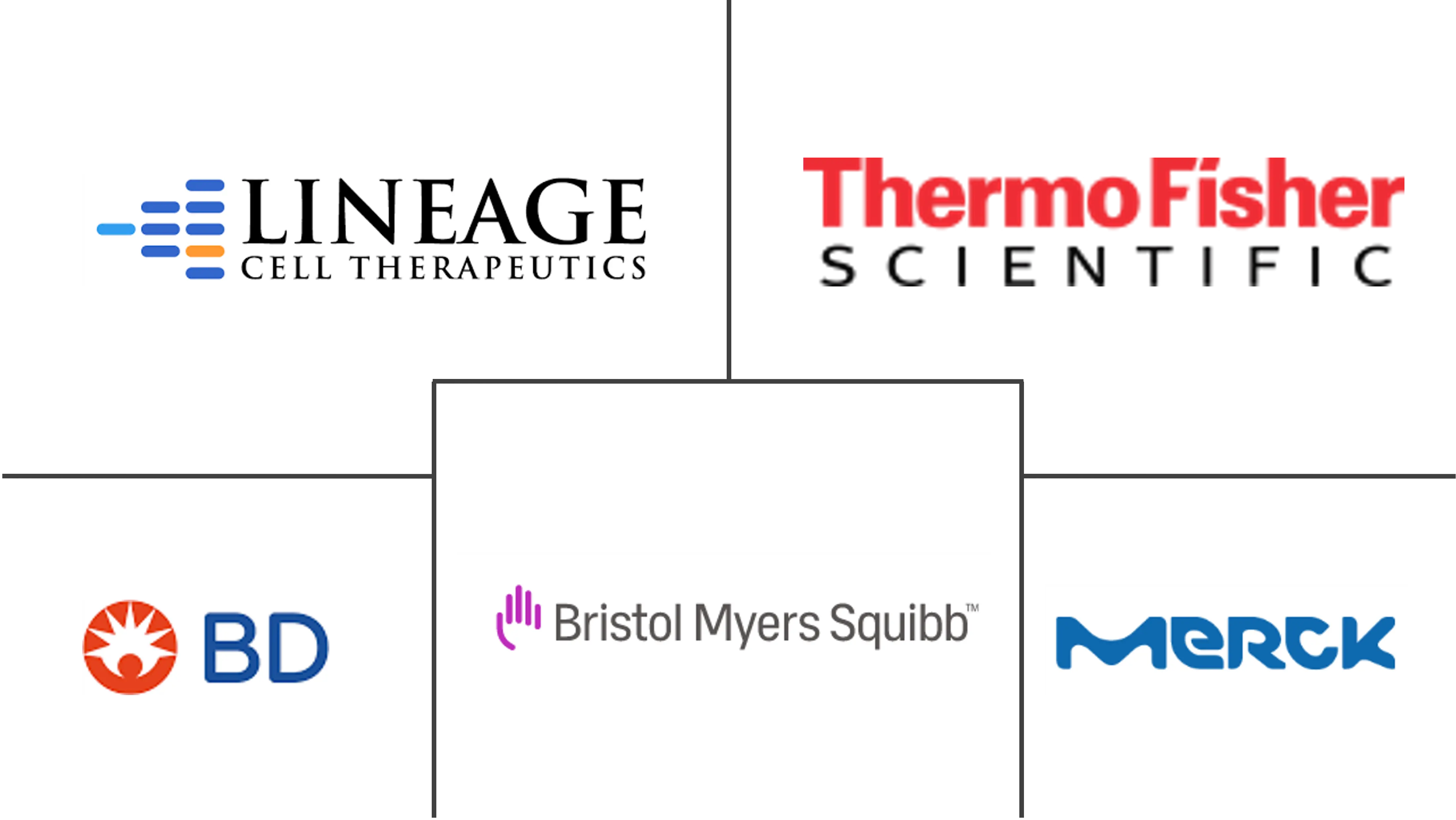 北美干细胞市场规模及份额