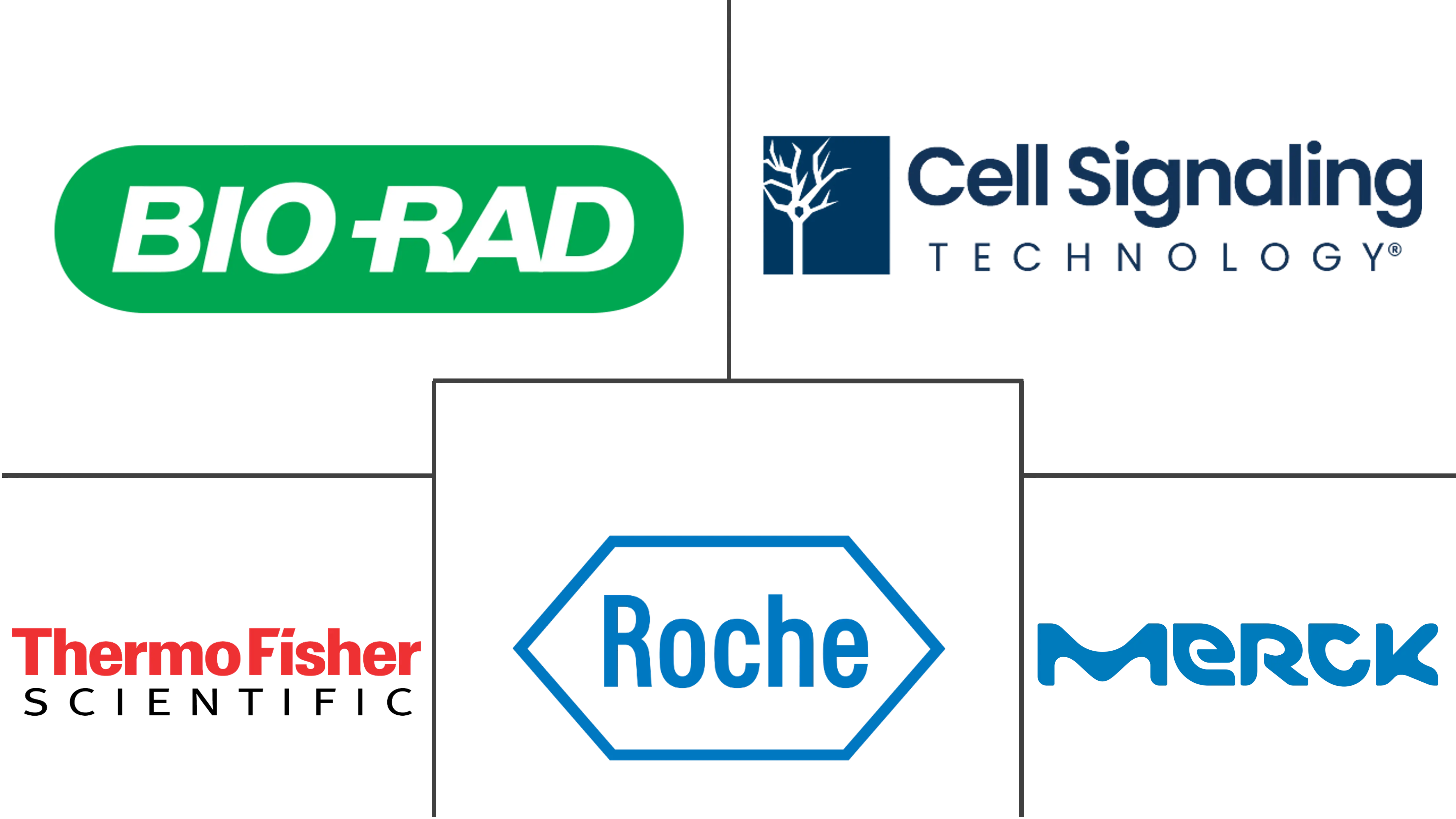 神经科学抗体和检测市场规模