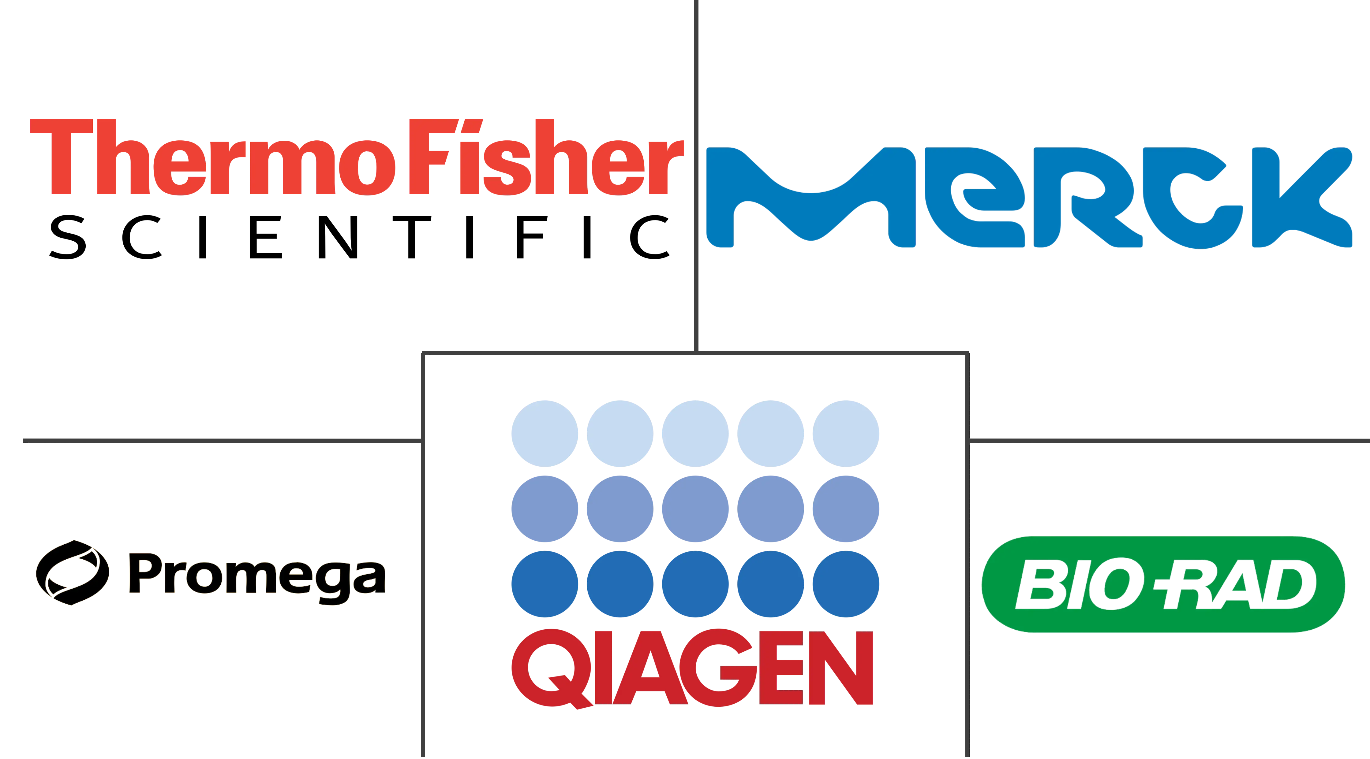分子量标记市场规模和份额