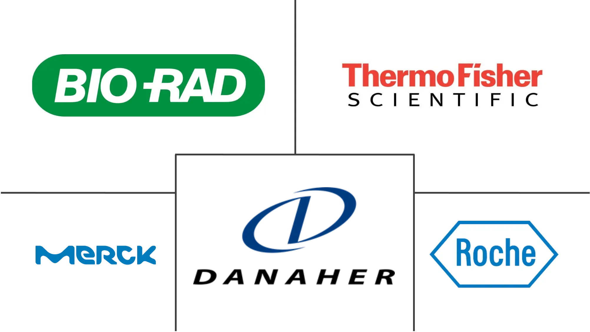 细胞裂解市场规模和份额