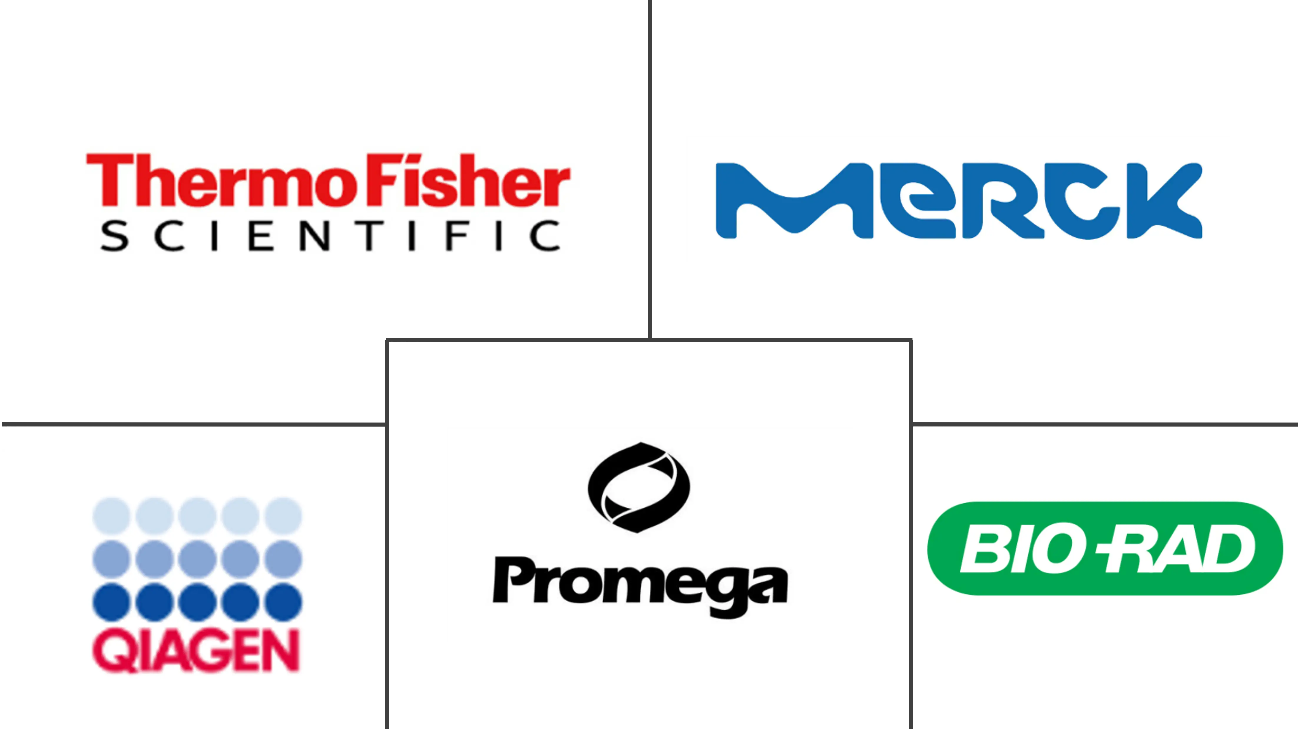 蛋白质纯化和分离市场规模和份额