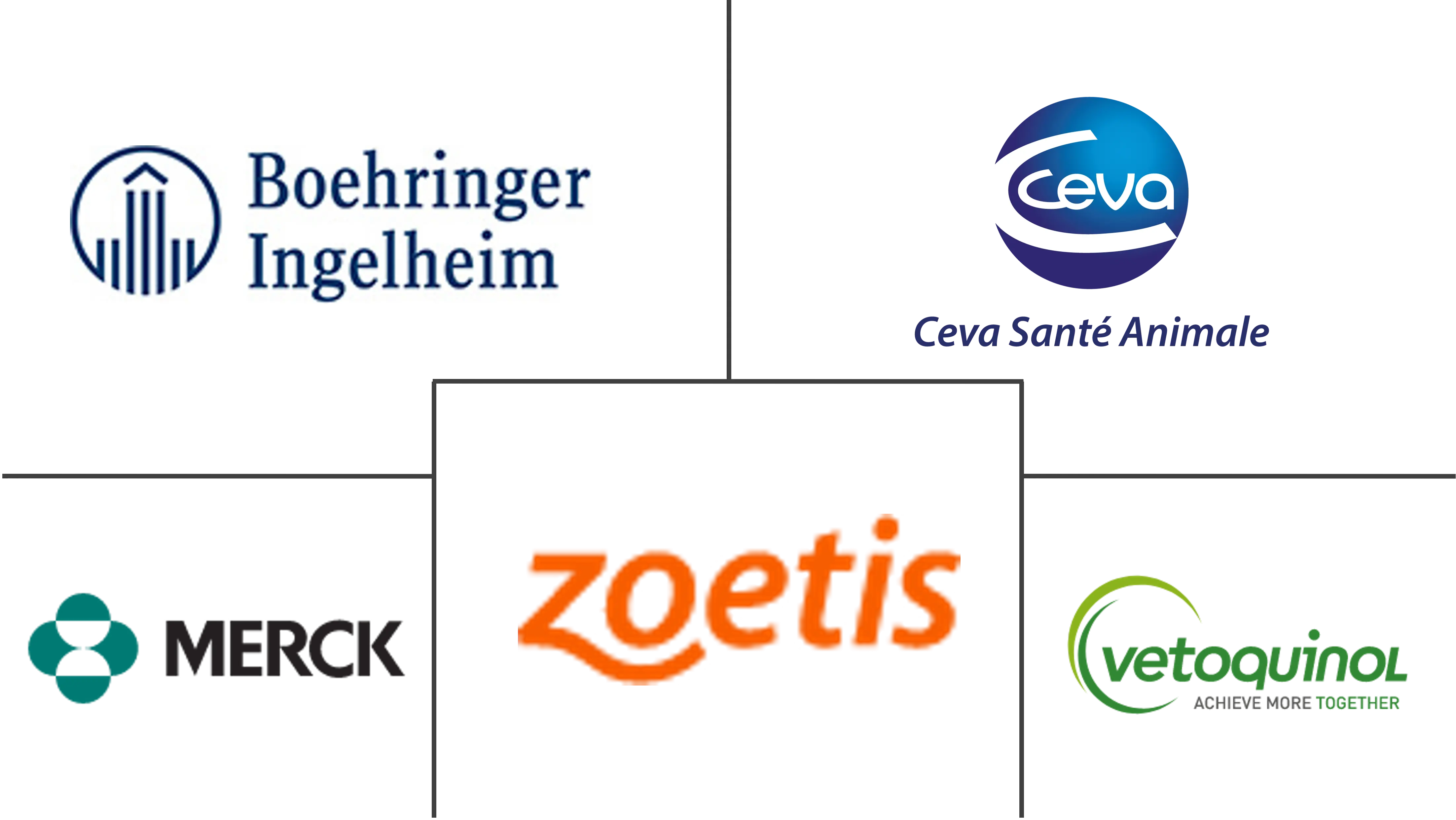 马医疗保健市场规模