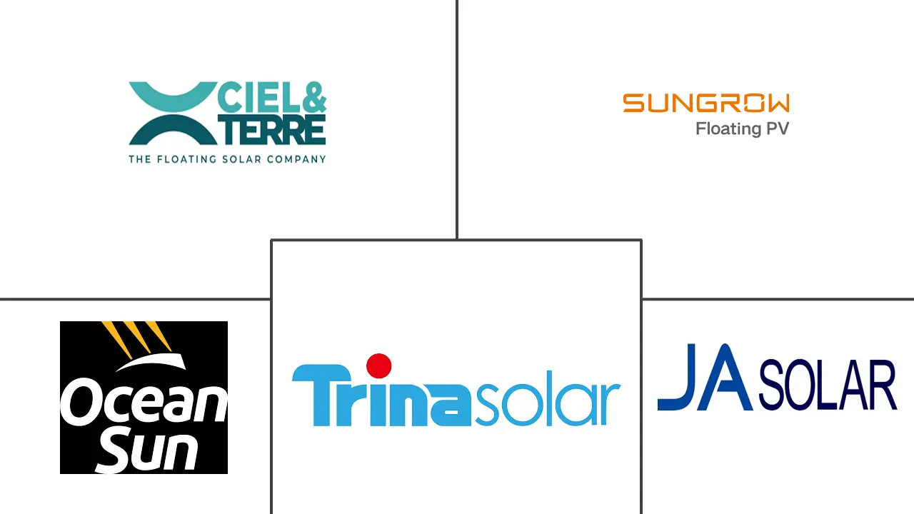 浮动太阳能电池板市场规模和份额