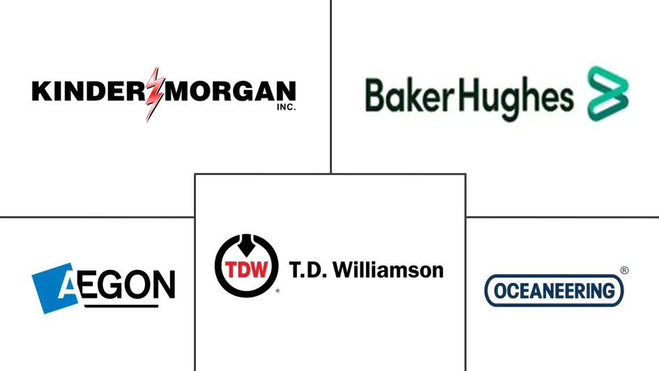 美国石油和天然气管道维护、修理和大修 (MRO) 市场规模和份额分析