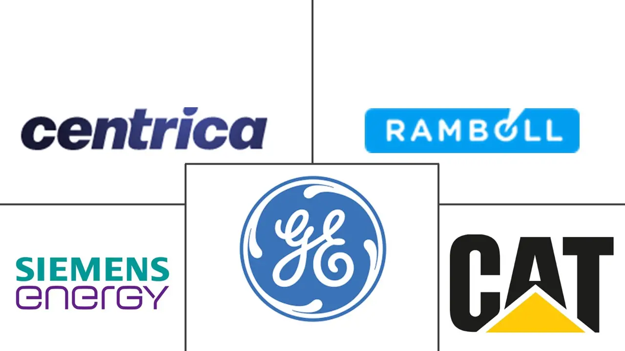 英国热电联产 (CHP) 市场规模