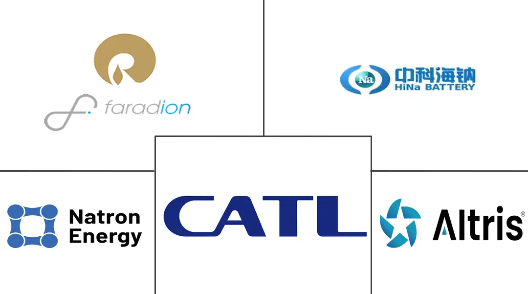 钠离子电池市场规模及份额