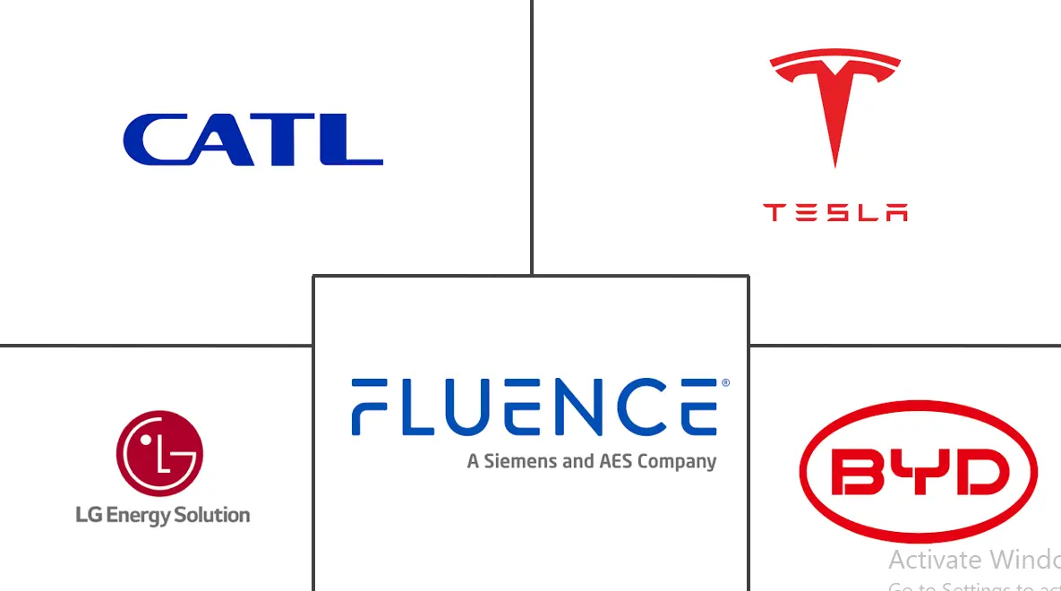 储能市场规模及份额