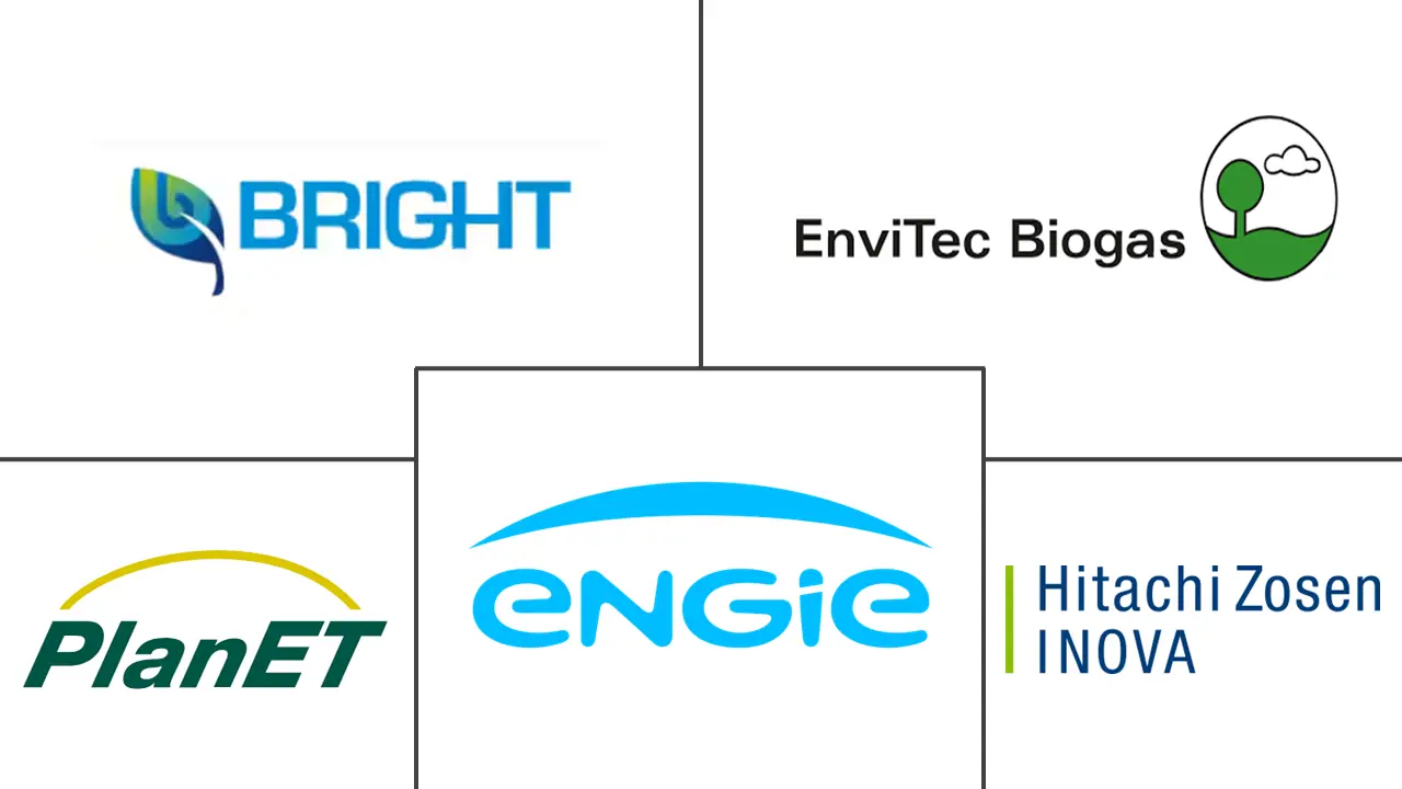 沼气市场规模和份额