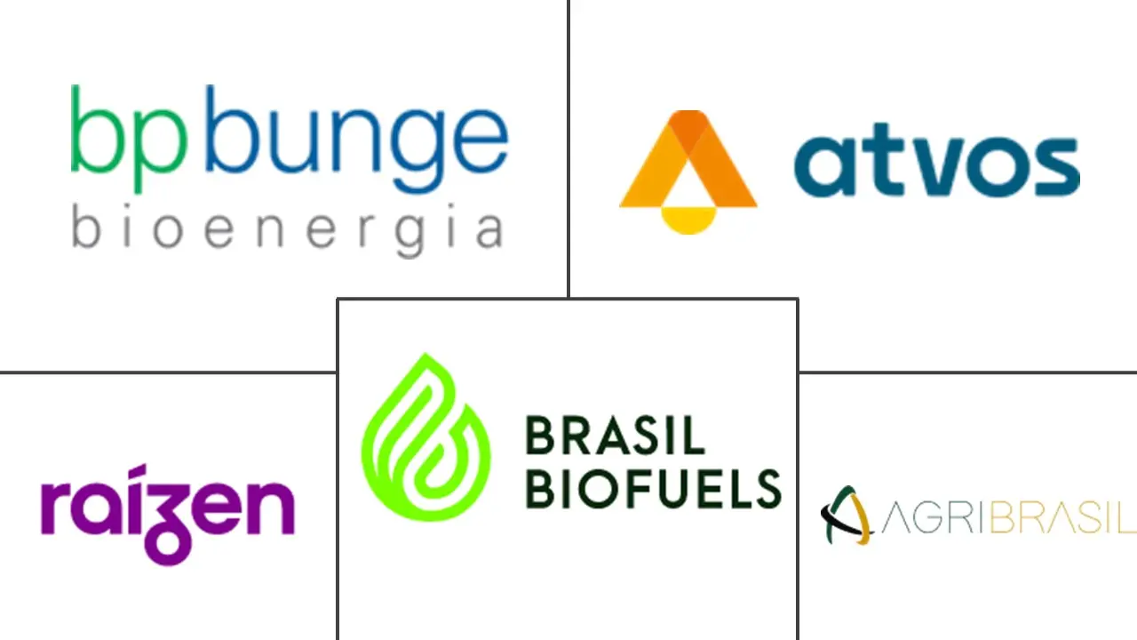 巴西生物燃料市场规模