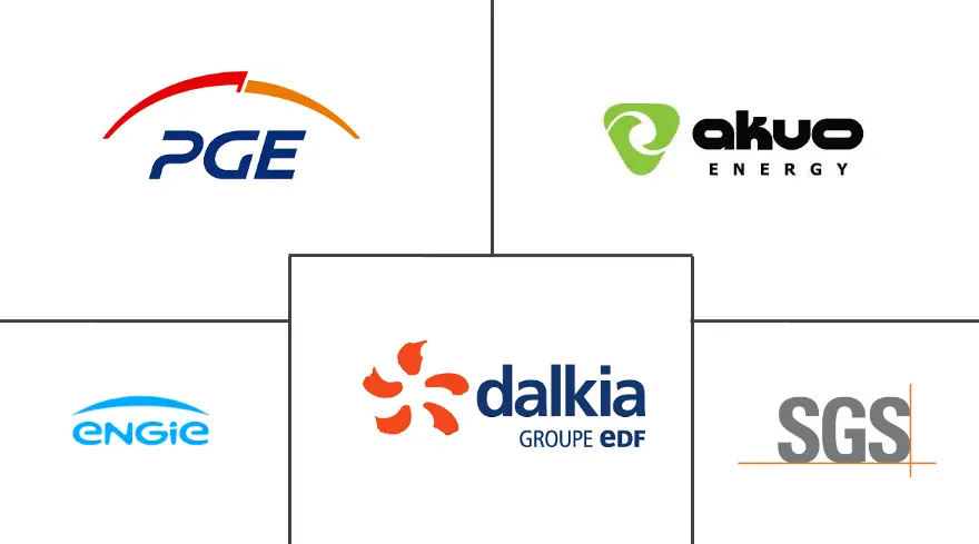 波兰可再生能源市场规模