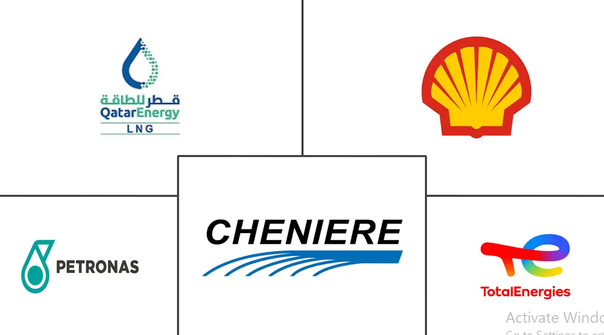 液化天然气（LNG）市场规模和份额