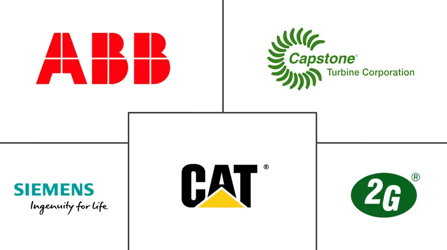 德国热电联产市场规模