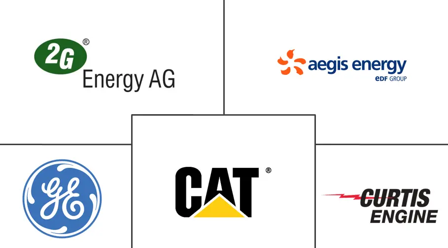 美国热电联产 (CHP) 市场规模