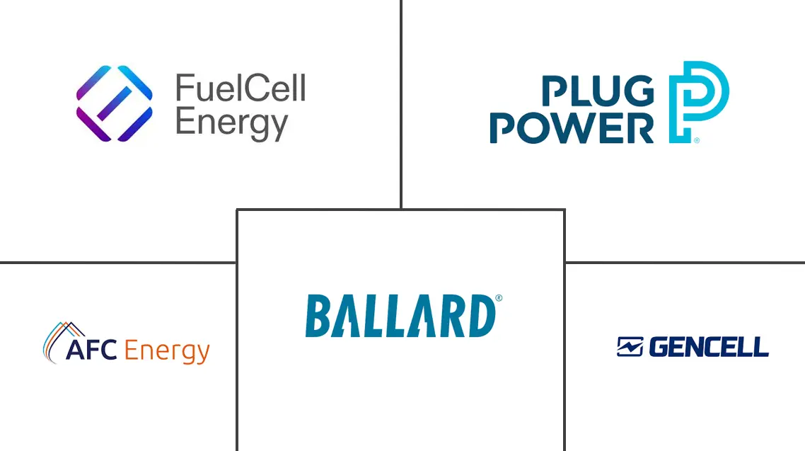 碱性燃料电池市场规模及份额