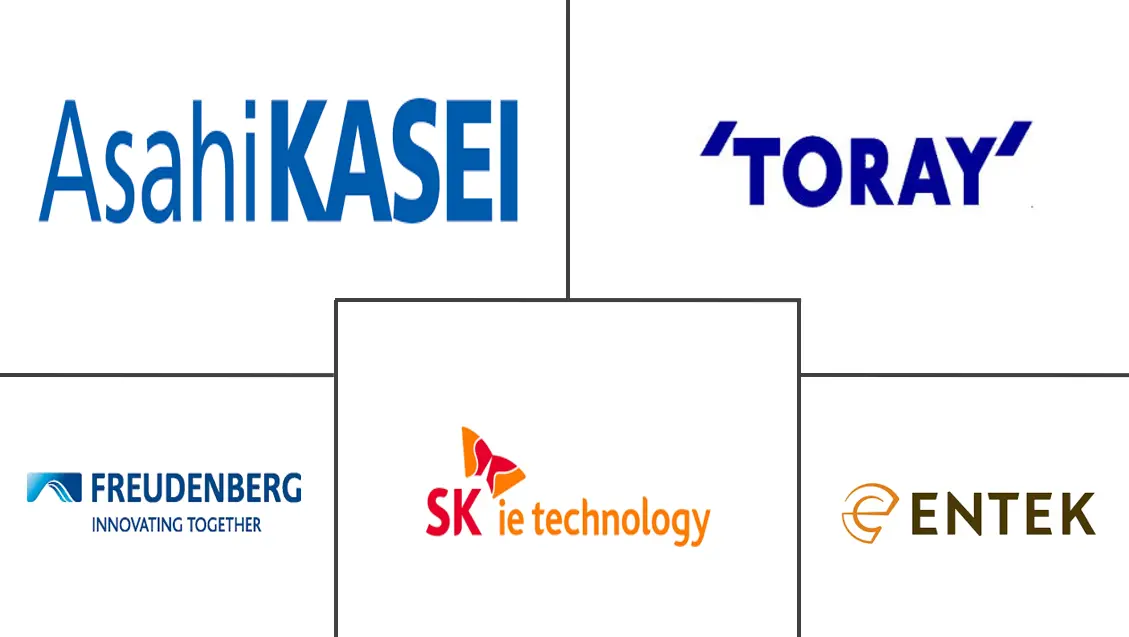 全球锂离子电池隔膜市场规模