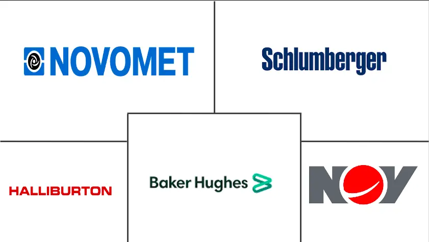 拉丁美洲人工举升系统市场规模