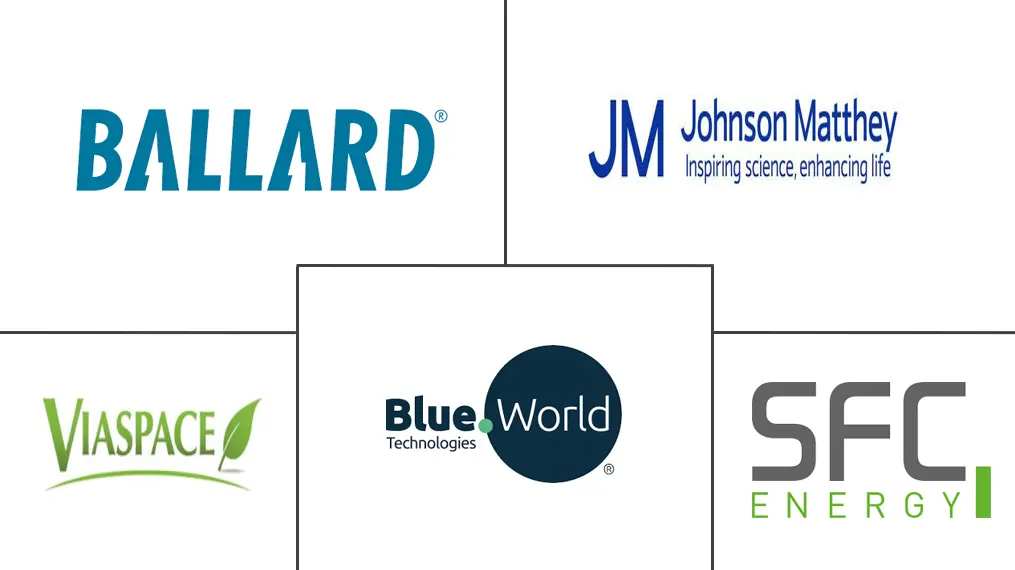 欧洲直接甲醇燃料电池市场规模