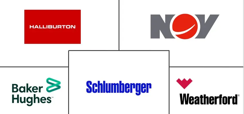 非洲钻完井液市场规模