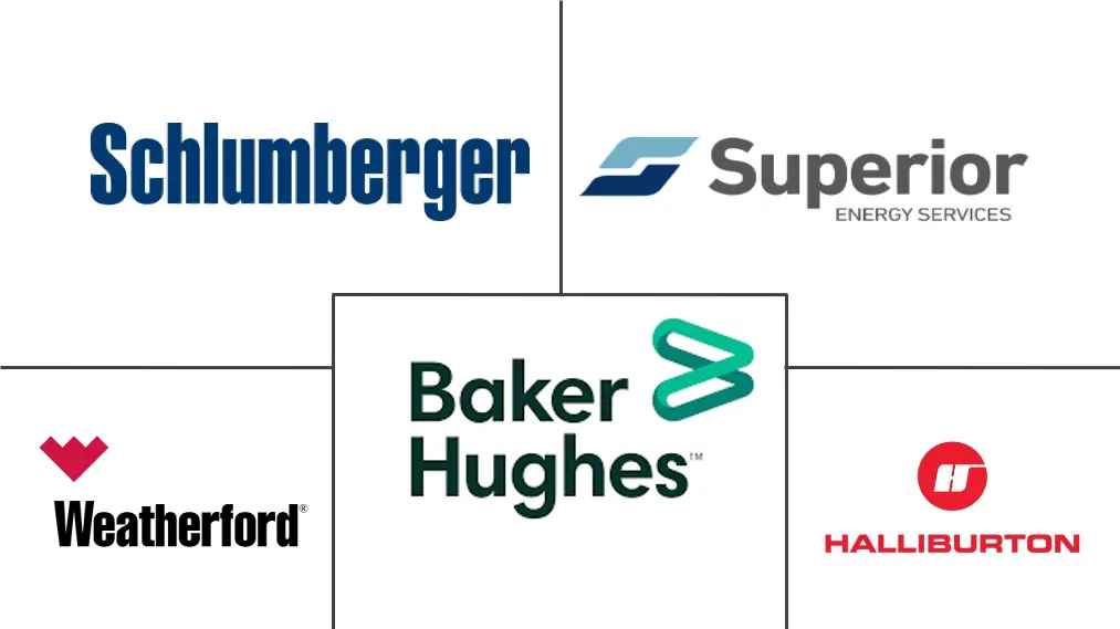 巴西有线测井服务市场规模